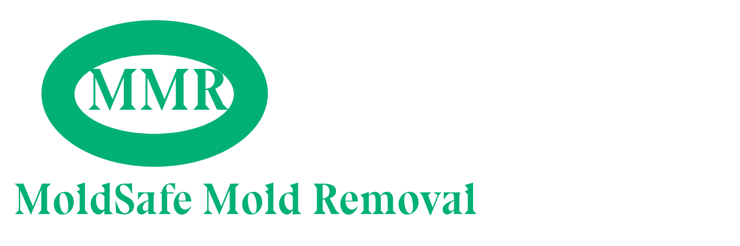 Mold Removal